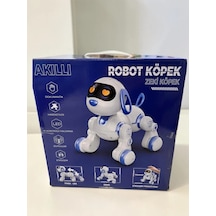 6601 Uzk Kumandalı Dans Edebilen Robot Köpek Çok Renkli