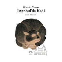 İstanbul'da Kedi - Şiir Roman - Gündüz Vassaf - İletişim Yayınları