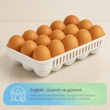 Life 15'li Yumurta Saklama Kabı - Sızdırmaz Kilitli Kapak, Yıkanabilir, Buzdolabı Ve Taşıma İçin Pratik