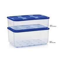 Tupperware Modüler Düzenleme Kabı 253 L Ve 16L Esc