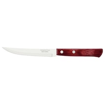 Churrasco 21100/475 Biftek-steak Bıçağı Çok Renkli