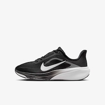 Nike Pegasus 42 Koşu Ayakkabısı Ih2306-002 Siyah