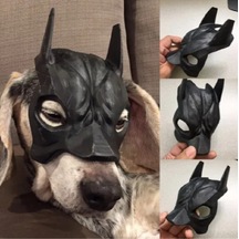 Köpekler İçin Batman Maskesi