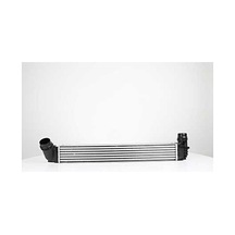 Bsg Turbo Radyatoru Intercooler 655 X 91 X 80 - Megan Iıı / Scenıc Iıı 09-