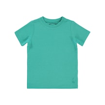 Mint Yeşili