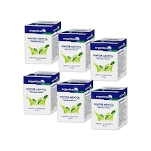 Winter Mentol Buharlaşan Merhem Viks Vikis Mentol Ve Okaliptus 40 Gr X 6 Adet