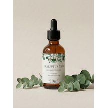 Okaliptus Uçucu Yağı Eucalyptus Essential Oil Eucalyptus Globulus Saf Doğal 20 Ml 20 ML