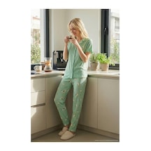 Mint Yeşili