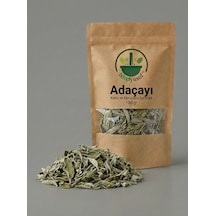 Adaçayı Salvia Kurutulmuş Adaçayı Yaprağı Bitki Çayı 100 G Doğal
