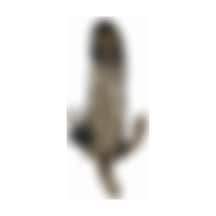 Red Fox 4 Cm Uzatmalı Anal Vajinal Ve Klitoral Uyarıcılı Titreşimli Penis Kılıfı