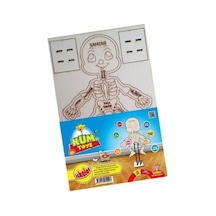 Kum Toys İskelet Maketi