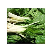 Sarmalık Pazı Tohumu - 10 Gram
