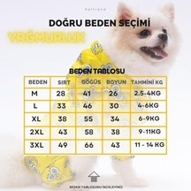 Açık Gri
