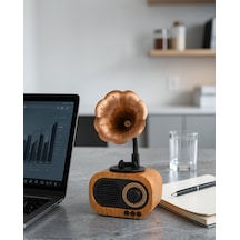 Kablosuz Retro Radyo Hoparlör 5w Usb Hafıza Kartlı Uczzzb5rayo-8
