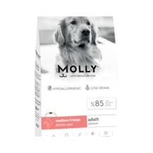 Molly Medium Large Adult Somonlu Yetişkin Köpek Maması 2 KG