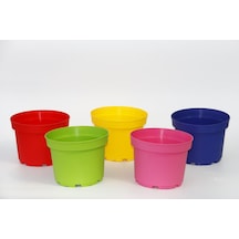 Rengarenk Saksı Seti - 5 Renk 10 Saksı