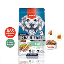 Wanpy Tahılsız Kuzulu Yetişkin Köpek Maması 1,5 Kg
