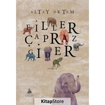 Kitapstore Filler Çapraz Gider / Altay Öktem
