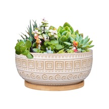 İç Mekan Bitkileri İçin 8 İnç Seramik Etli Saksılar Yuvarlak Sığ Bonsai Saksı Drenaj Ve Bambu Tabağı Beyaz Standart