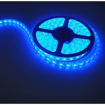 Cata 5 Metre 12 Volt 10 Çipli Iç Mekan Mavi Işık Şerit Led Ct-4484 Siyah