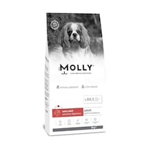 Molly Düşük Tahıllı Hypoallergenic Kuzulu Ve Yaban Mersinli Küçük Irk Yetişkin Köpek Maması 2 Kg