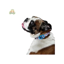 Köpek Boyun Tasması Geri Dönüştürülmüş, Ayarlanabilir, Emniyet Tokalı Küçük Ve Büyük Irklar İçin Tüy Toplamaz, Yıkanabilir, Airtag & İsimlik Uyumlu, Woof,large Çok Renkli