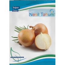 Nesil Soğan Tohumu Gence 5 G