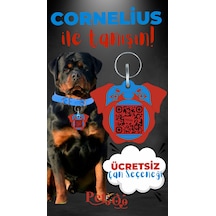 Petjoo 20.Cornelius Kırmızı-Mavi Qr'lı Köpek Künyesi