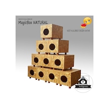 Kedi Kulübesi Magicbox V Vernik Korumalı Ahşap Kedi Evi 36 x 32 x 37 CM