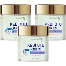 Kedi Otu Kremi 50 Ml Kafur Ağacı Yağlı Paincream 3 Adet