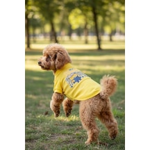 Miniş One-in-a-minion Küçük Irk Köpek Pike Kumaş Polo T-shirt-21586