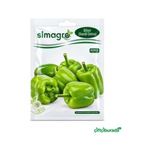 Simagro Kandil Dolma Biber Tohumu 10 G