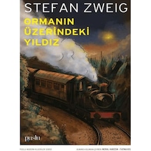 Ormanın Üzerindeki Yıldız - Vzqg-764094
