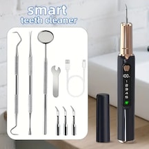 Willowhaven Siyah Elektrikli Diş Temizleyici Diş Plak Tartar Temizleme Ev Seyahat Seti