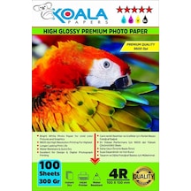 Epson 103 L5590 Evertday Premium Parlak 10x15cm Fotoğraf Kağıdı 300 Gr. 100 Adet
