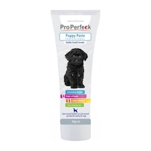 Pro Perfeck Puppy Vitamin Mineralli Paste 100 G