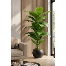 Cihan Çiçekçilik 160 Cm Yapay Difenbahya Ağacı - 30x30 Küre Saksılı Siyah