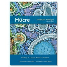 Hücre Moleküler Yaklaşım 7. Baskı  Ciltsiz