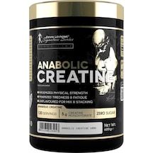 Kevin Levrone Creatine 600 Gram - 120 Servis