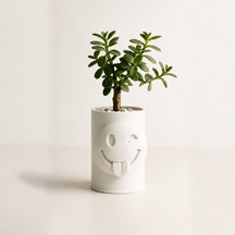 3d Baskı Emoji Planter - Göz Kırpan Yüzlü Sukulent Saksısı-beyaz Çok Renkli