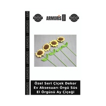 Çok Renkli