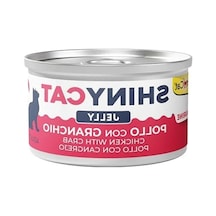 Tavuklu Yengeçli Yaş Kedi Maması, 70 G Enerji Dolu