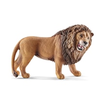 Aslan