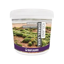 Reeflowers Iceland Sorrel Lava Bitki Kumu (1-3 Mm) 4 Kg K