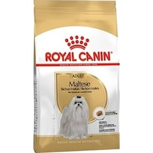 Maltese Bichon Maltais Yetişkin Köpek Maması 1,5 Kg