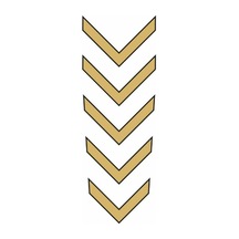 Cg Gold Çamurluk Üst Sticker Standart