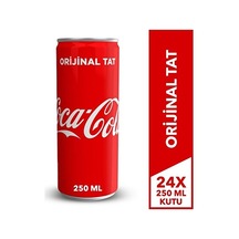Coca Cola 250 Ml Kutu, 24'lü Paket 1 L