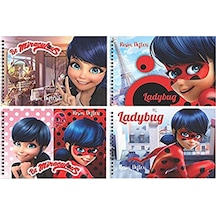 Keskin Lady Bug Resim Defteri 17x25 15 Yaprak 300115