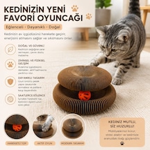 Majo Yuvarlak Eko Karton Tırmalama