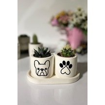Tabaklı Bulldog Desenli Mini Saksı Seti